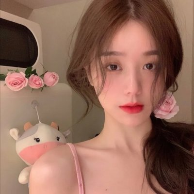 顽皮豹之怀念探长